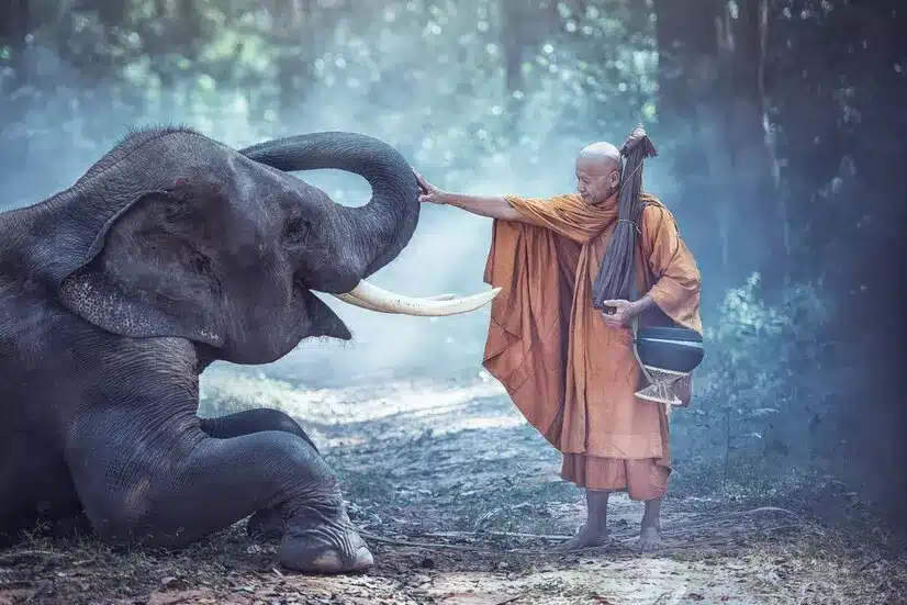 According to Buddhism, animals also have Buddha nature