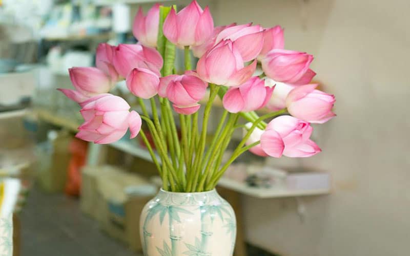 Place a vase of pink lotus flowers in the living room to create peaceful and loving energy