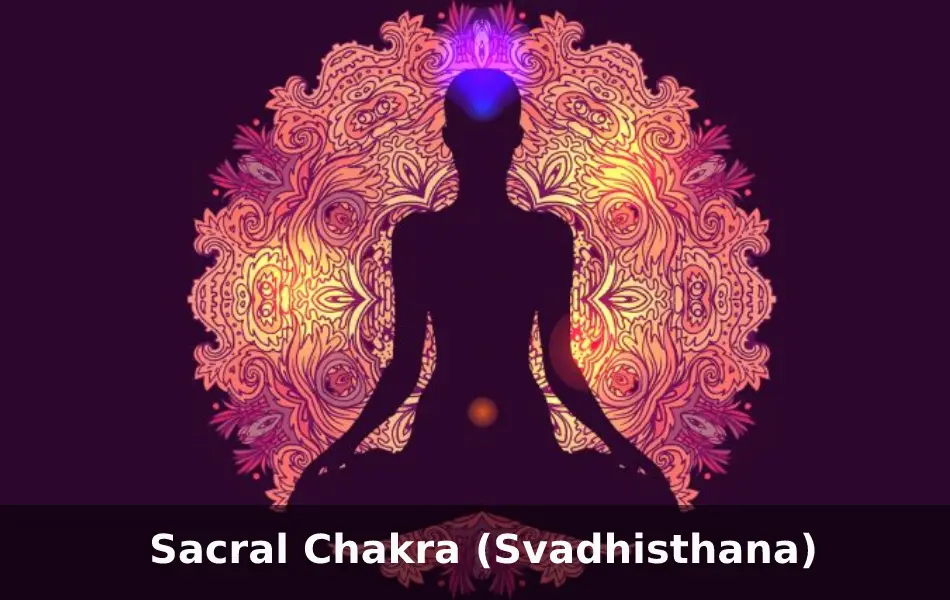 Sacral Chakra is the second chakra in the 7-chakra system located in the human body