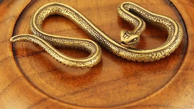 Feng shui meaning of snakes