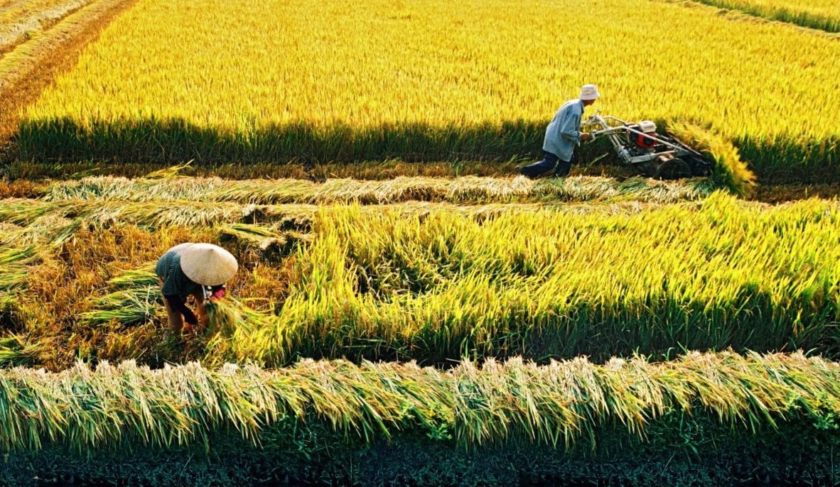 The Meaning Of Right Livelihood In Buddhism LotusBuddhas