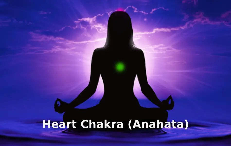 The Heart Chakra is the fourth chakra among the 7 chakras in the human body
