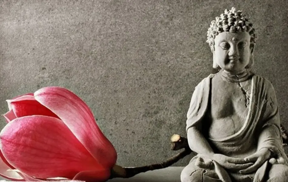 What is Metta in Buddhism? Meaning, Benefits and Cultivate