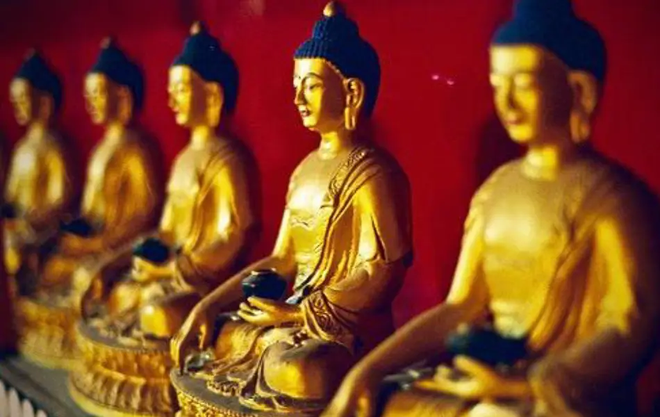 ¿Qué Es El Dharma En El Budismo? - LotusBuddhas