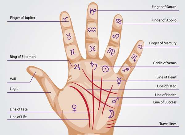 How to read the Sun line in palmistry
