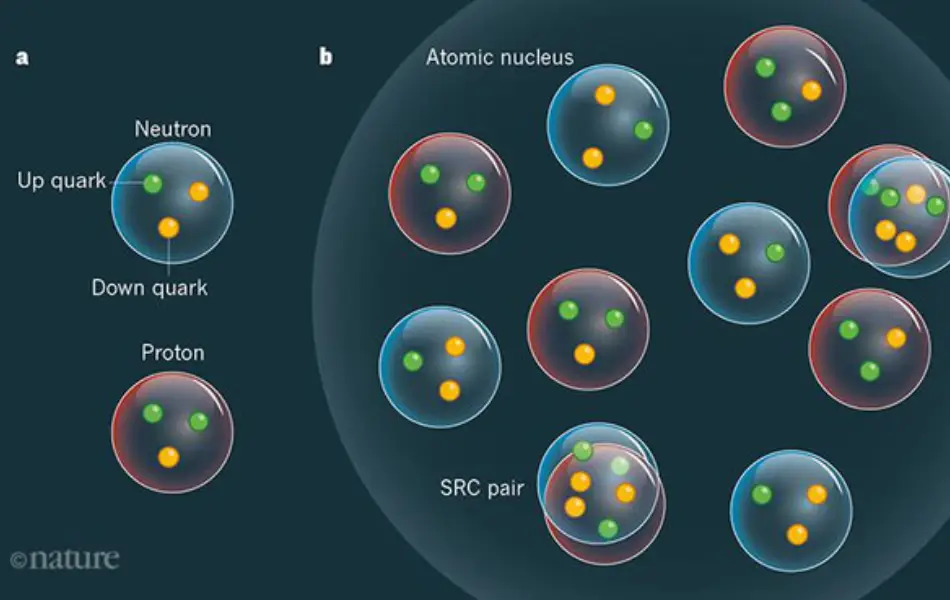 What Are Quarks Discovery Types And Properties