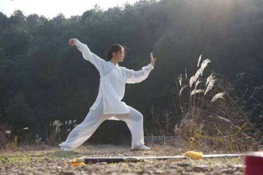 The different styles of Tai Chi