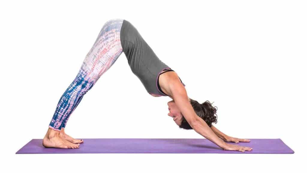 Downward-Facing Dog is one of the Yoga Poses Suitable for Beginners