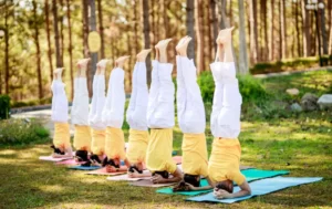 Principles and Benefits of Sivananda Yoga