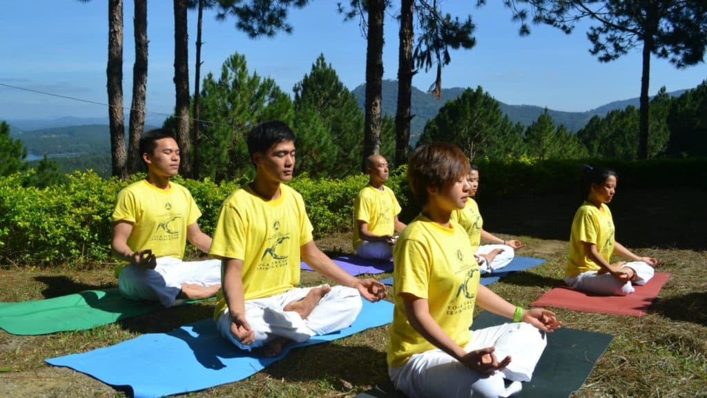 The principles of Sivananda Yoga