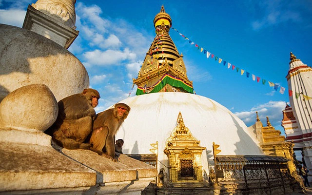 Swayambhunath Stupa (Monkey Temple) is one of the famous temples in Nepal attract tourists