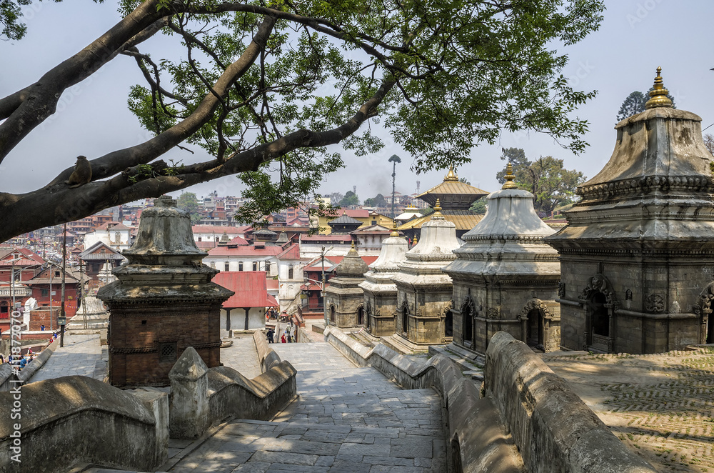 The architecture of Pashupatinath temple