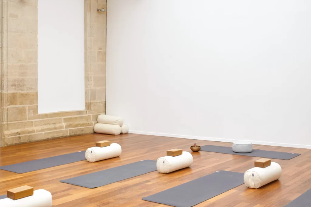 Rasa Yoga Rive Gauche is one of the best yoga centers in France